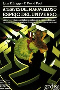 A Traves del Maravilloso Espejo del Universo