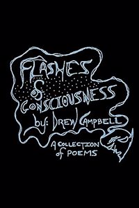 Flashes of Consciousness