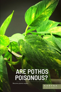 Are Pothos Poisonous?