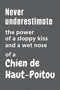 Never underestimate the power of a sloppy kiss and a wet nose of a Chien de Haut-Poitou