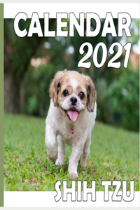 Shih Tzu Calendar 2021