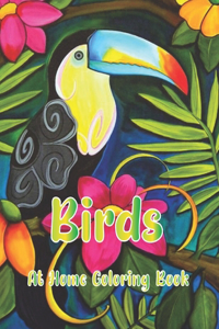 Birds At Home Coloring Book