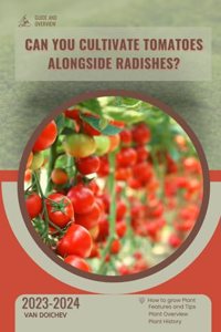 Can You Cultivate Tomatoes Alongside Radishes?