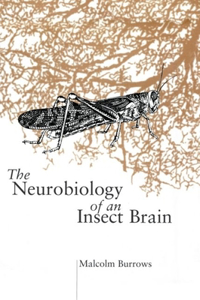 Neurobiol Insect Brain C