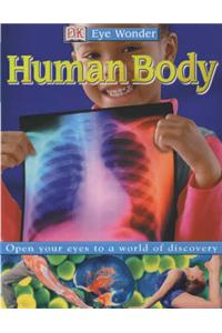 Human Body