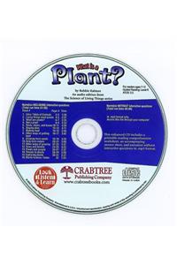 What Is a Plant?
