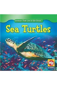 Sea Turtles