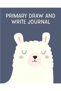 Primary Draw and Write Journal