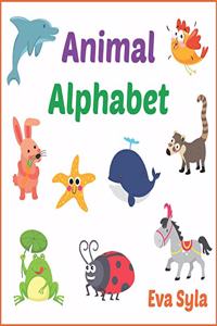 Animal Alphabet