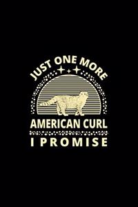Just One More American Curl I Promise