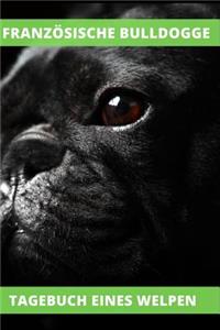 Französische Bulldogge Tagebuch eines Welpen
