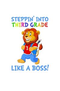 Stepping Into 3rd Grade Like A Boss