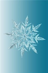 Ice Crystal Morning Journal
