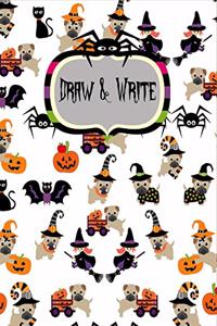 Draw & Write