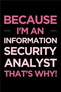 Because I'm an Information Security Analyst That's Why