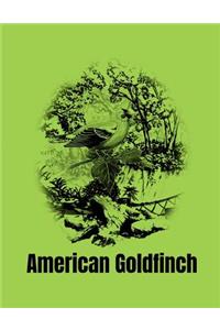 American Goldfinch
