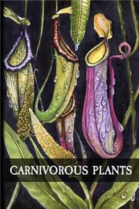 Carnivorous Plants