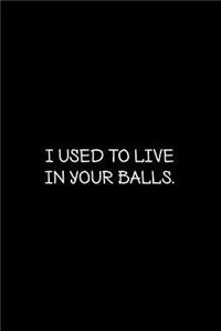 I used to live in your balls