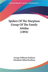 Spiders of the Marptusa Group of the Family Attidae (1894)