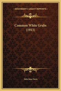 Common White Grubs (1913)