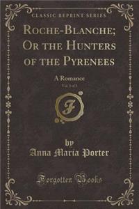 Roche-Blanche; Or the Hunters of the Pyrenees, Vol. 3 of 3: A Romance (Classic Reprint)