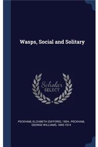 Wasps, Social and Solitary