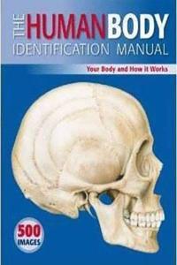 The Human Body Identification Manual: Your Body and How It Works