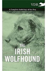 The Irish Wolfhound - A Complete Anthology of the Dog