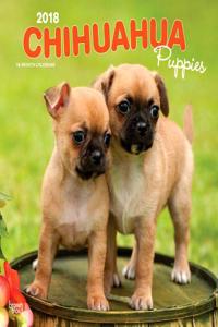 2018 Chihuahua Puppies Wall Calendar