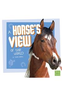 A Horse's View of the World