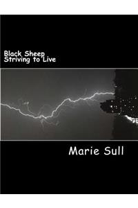 Black Sheep