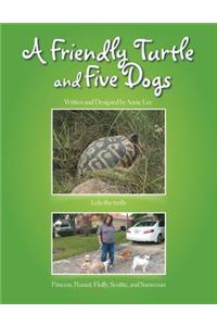 A Friendly Turtle and Five Dogs