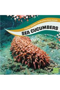 Sea Cucumbers