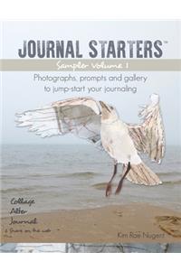 Journal Starters