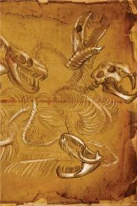 Hydra Skeleton Notebook