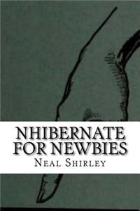 NHibernate For Newbies