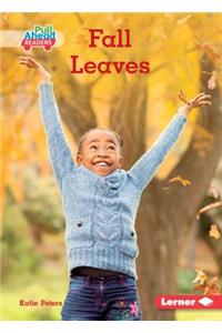 Fall Leaves