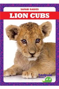 Lion Cubs