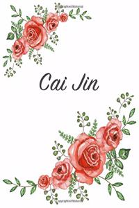 Cai Jin