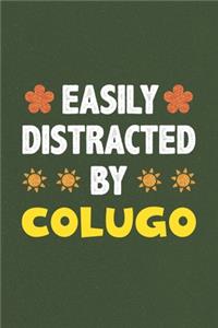 Easily Distracted By Colugo