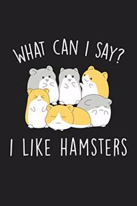 What Can I Say I Like Hamsters