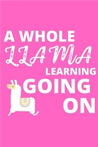 A Whole Llama Learning Going On