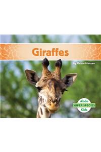 Giraffes