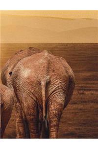 Elephants at Dusk Journal