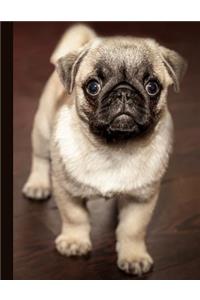 Daily Planner: 2019 - 2020 Cute Pug Puppy Yearly Planner I January 19 - December 19 Writing Notebook Plan Days, Set Goals & Get Stuff Done