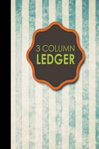 3 Column Ledger