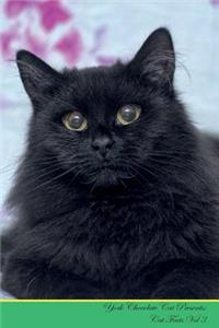 York Chocolate Cat Presents