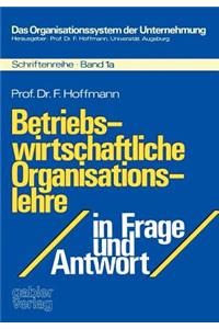 Betriebswirtschaftliche Organisationslehre in Frage Und Antwort