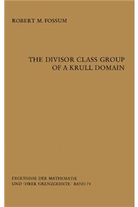 The Divisor Class Group of a Krull Domain