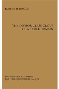 The Divisor Class Group of a Krull Domain